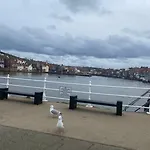 Hotell Lilyrose Whitby