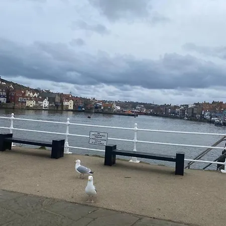Lilyrose 3*