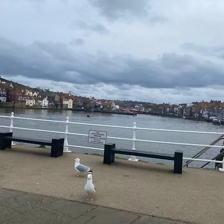 Hotel Lilyrose Whitby